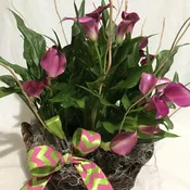 Calla Lily Basket
