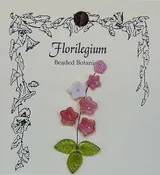 Foxglove-Pink