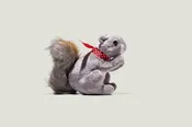 Paige the Squirrel Plush Toy