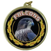 2 1/4" Falcons Medal