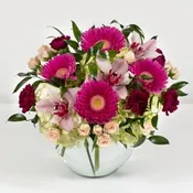 Blossoming Magic