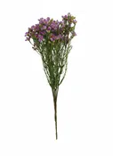 #043836PLV – 14.5″ Wax Flower Bush x7 {Purple/Lav}