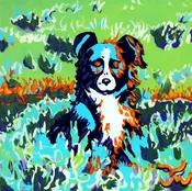 Border Collie Original Painting by Dan Howard
