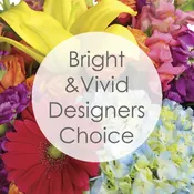 Bright and Vivid Designer's Choice 2