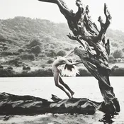 Alana (St. Barth, Lorient Beach), 2011