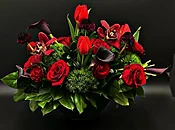Amor Mio
