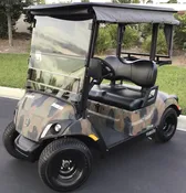 2019 Yamaha Freedom RXV Electric