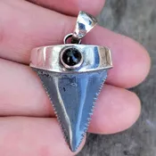 .925 Silver Cap Fossil Great White Shark Tooth – SilverGw2