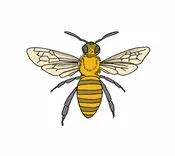 Honey Bee Temporary Tattoo Pair