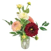 Dancing Dahlias Standard