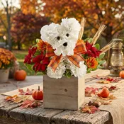 a-DOG-able for Fall