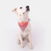 GoFluo Dog Wear Bandana, Flourescent, Coral Reflective