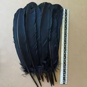 Large Black Turkey Wing Feathers, dozen