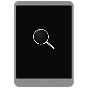 Apple iPad 8 Free Diagnostic