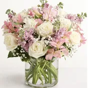 Elegant Blush