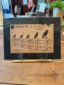 Antique Sears and Roebuck Target