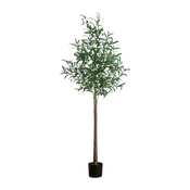 6 ft. Lumiere Olive