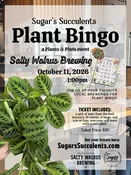 October 11 - Plant Bingo (Salty Walrus Brewing, Visalia) — Sugar's Succulents