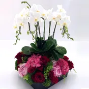 Orchid Garden Planter