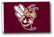 Hornets 3ft x 5ft Indoor Outdoor Flag
