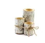 Small Birch Decor Holder Set