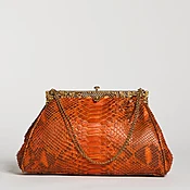 Vintage Frame - Orange Python — ANTHONY LUCIANO