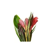 20 Ginger Tropical Flower Bouquet