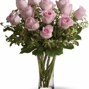 A Dozen Pink Roses - TF33-1
