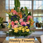 4 weeks subscription (home or business)
