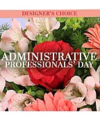 ADMIN PROFESSIONAL'S