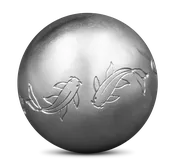 Carpe Koi
