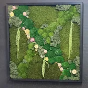 Moss Wall Art 30”x30”