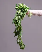 Cascading Green Tulip Bridal Bouquet & Boutonniere
