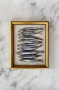'Sardines' Fine Art Print (Unframed)