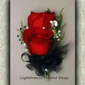 Graceful Red Rose