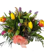 ALL TULIPS