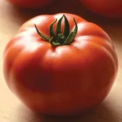 Heirloom Marriage™ Genuwine Tomato