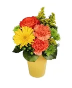 JACKPOT POSIES