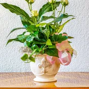 Memory Garden