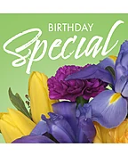 BIRTHDAY SPECIAL