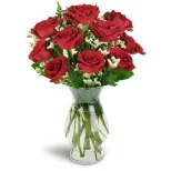 Devoted to You™ Red Roses
