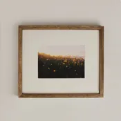 ‘Buttercups’ by Lena Aires Print