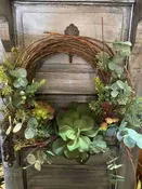 Succulent Wreath — Jil's Flower Haus