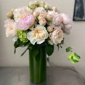 First Blush