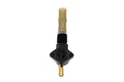 1/4" NPT Petcock