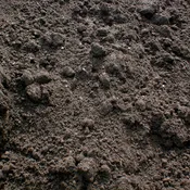 BULK SCREENED ORGANIC TOPSOIL