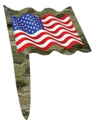 American Heroes – Patriotic Party Picks 24-pack