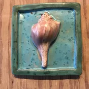 Conch Tile (4" x 4") — Clay Trout Pottery
