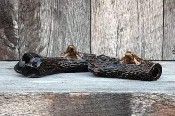 Frog Log