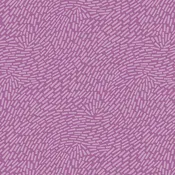 Century Rainbow : Mosaic in Orchid : Andover